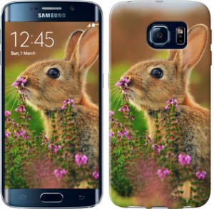 Чехол Кролик и цветы для Samsung Galaxy S6 Edge G925F