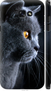 Чохол Гарний кіт на Samsung Galaxy A7 (2017)