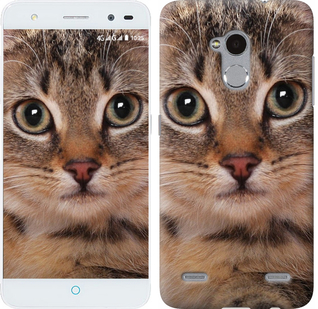 

Чехол Полосатый котик для ZTE V7 Lite 175911
