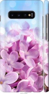 

Чехол Сирень для Samsung Galaxy S10 Plus 1013981