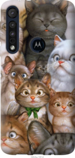 

Чохол коти на Motorola One Macro 1395760