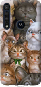 Чехол коты для Motorola One Macro