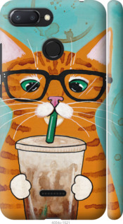 Чохол Зеленоокий кіт в окулярах на Xiaomi Redmi 6