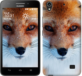 

Чохол Руда лисиця на Huawei G620S 577848