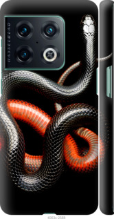 

Чехол Красно-черная змея на черном фоне для OnePlus 10 Pro 1685254
