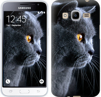 

Чохол Гарний кіт на Samsung Galaxy J2 (2016) J210 242620
