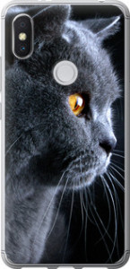 Чехол Красивый кот для Xiaomi Redmi S2
