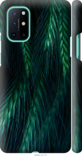 

Чохол Колоски на OnePlus 8T 1580122