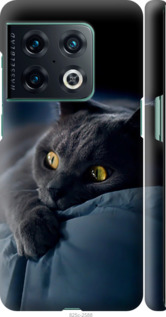 Чехол Дымчатый кот для OnePlus 10 Pro