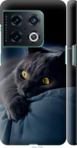 Чехол Дымчатый кот для OnePlus 10 Pro