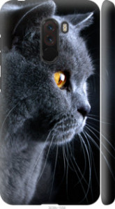 Чохол Гарний кіт на Xiaomi Pocophone F1