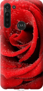 

Чехол Красная роза для Motorola G8 Power 1574215
