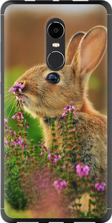 

Чехол Кролик и цветы для Xiaomi Redmi Note 4 (Snapdragon) 304791