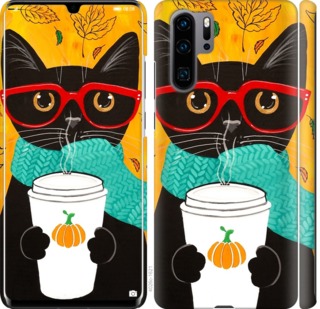 

Чехол Осенний кот для Huawei P30 Pro 702726