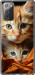 Чехол Котики 2 для Samsung Galaxy Note 20