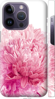 

Чохол Хризантема на iPhone 14 Pro 1481807