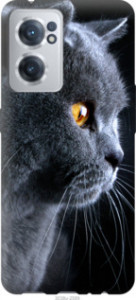 Чехол Красивый кот для OnePlus Nord CE 2