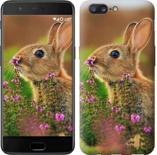 

Чохол Кролик і квіти на OnePlus 5 468468