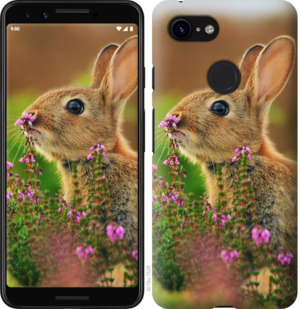 

Чохол Кролик і квіти на Google Pixel 3 781410