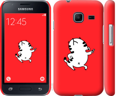

Чехол Котик для Samsung Galaxy J1 Mini J105H 812191