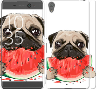 

Чехол Мопс и арбуз для Sony Xperia XA 843668