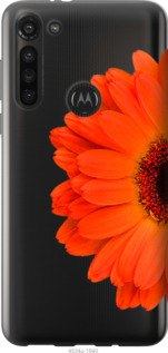 

Чехол Гербера 1 для Motorola G8 Power 1589623