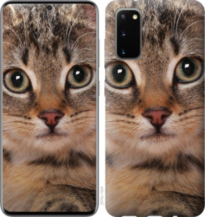 

Чехол Полосатый котик для Samsung Galaxy S20 879197