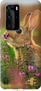 

Чохол Кролик і квіти на Huawei P40 Pro Plus 1086109