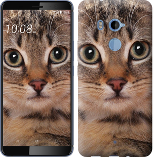 

Чехол Полосатый котик для HTC U11 Plus 655413