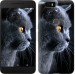 Чехол Красивый кот для Google Pixel XL
