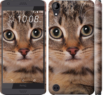 

Чехол Полосатый котик для HTC Desire 630 175597