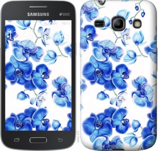 

Чехол Голубые орхидеи для Samsung Galaxy Star Advance G350E 724946