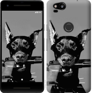 

Чохол Доберман на Google Pixel 2 778246