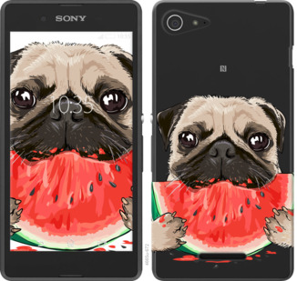 

Чехол Мопс и арбуз для Sony Xperia E3 D2202 843683