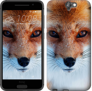 

Чохол Руда лисиця на HTC One A9 78586