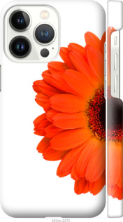 

Чехол Гербера 1 для iPhone 13 Pro 1589676