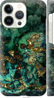 

Чехол Мрамор золото богатство для iPhone 13 Pro 1405068