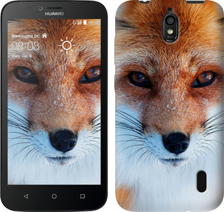 

Чехол Рыжая лисица для Huawei Ascend Y3C 78810