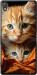 Чохол Котики 2 на Sony Xperia Z3 D6603