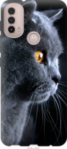 Чехол Красивый кот для Motorola E40