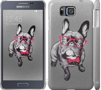

Чехол Умный бульдог для Samsung Galaxy Alpha G850F 736850