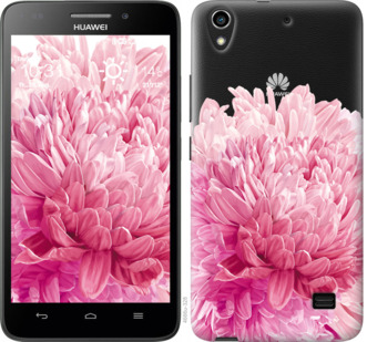 

Чохол Хризантема на Huawei G620S 844558