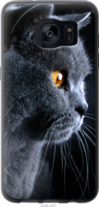 Чехол Красивый кот для Samsung Galaxy S7 Edge G935F