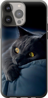 Чохол Димчастий кіт на iPhone 13 Pro Max