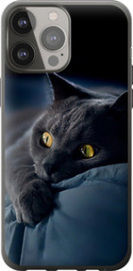 Чехол Дымчатый кот для iPhone 13 Pro Max