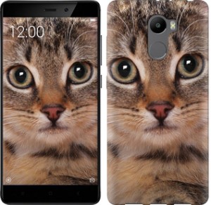 Чехол Полосатый котик для Xiaomi Redmi 4