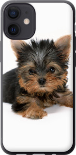 Чехол Щенок йоркширского терьера для iPhone 12 Mini