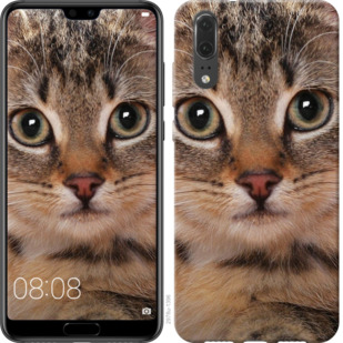 

Чохол Смугастий котик на Vivo V17 Neo 780406