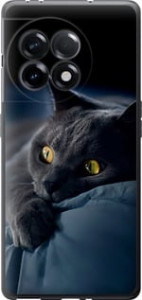 Чехол Дымчатый кот для OnePlus 11R