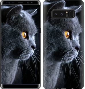 

Чохол Гарний кіт на Samsung Galaxy Note 8 626639
